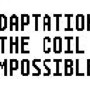 Adaptation is impossible